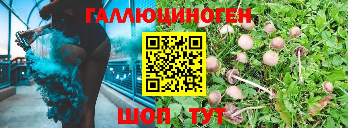 Псилоцибиновые грибы MAGIC MUSHROOMS Берёзовский