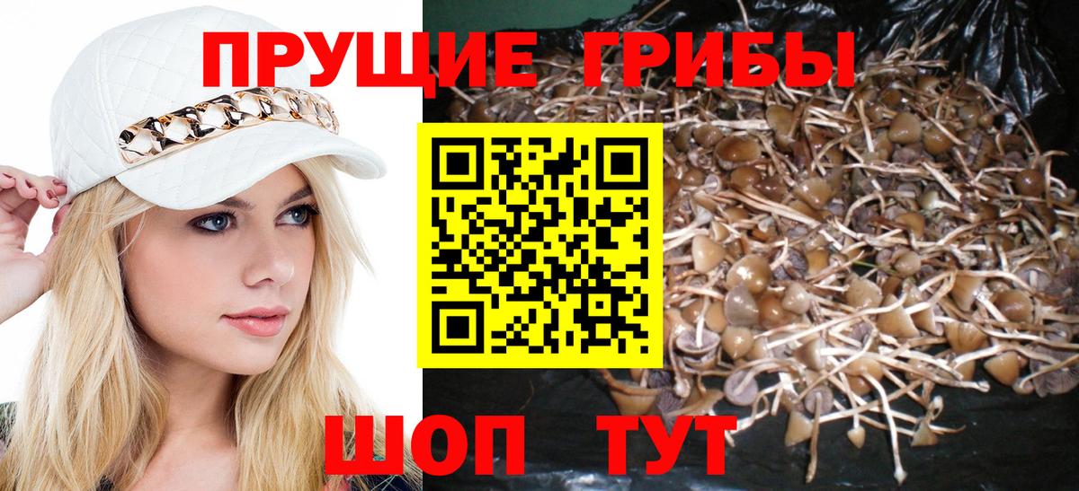 Берёзовский  Псилоцибиновые грибы MAGIC MUSHROOMS  Вход с VPN 